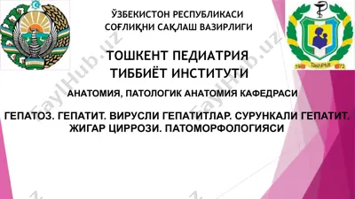 гепатоз. гепатит. вирусли гепатитлар. сурункали гепатит. жигар циррози. патоморфологияси — PPTX