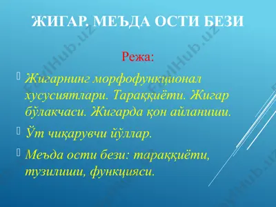 жигар. меъда ости бези — PPTX