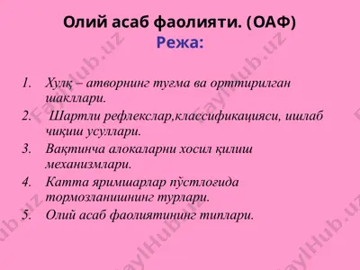 олий асаб фаолияти. (оаф) — PPTX