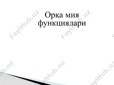 орқа мия функциялари — PPTX