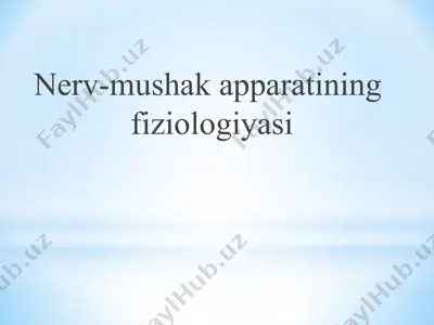 nerv-mushak apparatining fiziologiyasi — PPTX