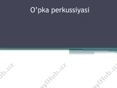 o’pka perkussiyasi — PPTX