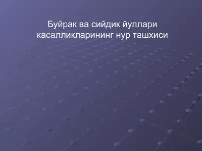 буйрак ва сийдик йуллари касалликларининг нур ташхиси — PPTX