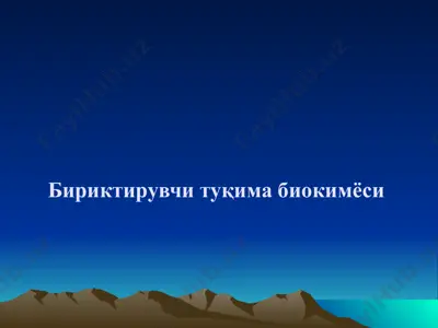 бириктирувчи туқима биокимёси  — PPTX