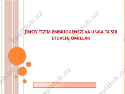 jinsiy tizim embriogenezi va unga taʼsir etuvchi omillar — PPTX