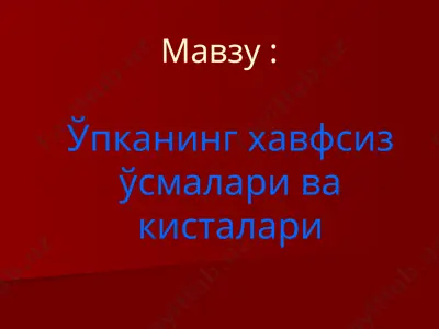 ўпканинг хавфсиз ўсмалари ва кисталари — PPTX