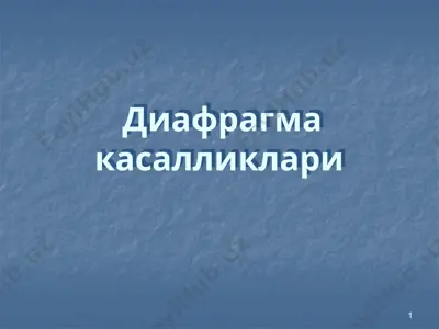 диафрагма касалликлари — PPTX