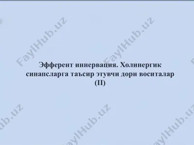 эфферент иннервация. холинергик синапсларга таъсир этувчи дори воситалар (ii) — PPTX