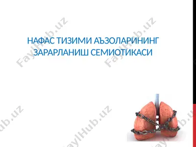 нафас тизими аъзоларининг зарарланиш семиотикаси — PPTX