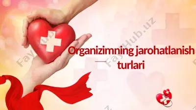 organizimning jarohatlanish turlari — PPTX