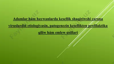 adamlar hám haywanlarda kesellik shaqiriwshi carona viruslardiń etiologiyasin, patogenezin kesellikten profilaktika qiliw hám emlew usillari — PPTX