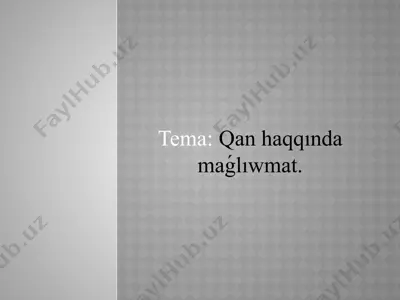 qan haqqında maǵlıwmat — PPTX