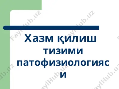 хазм қилиш тизимининг функцияси — PPTX