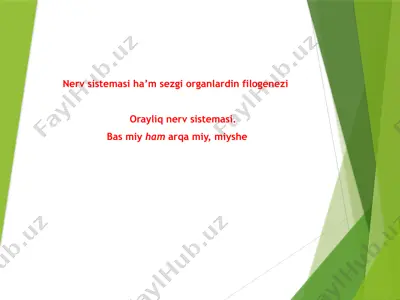 nerv sistemasi ha’m sezgi organlardin filogenezi — PPTX