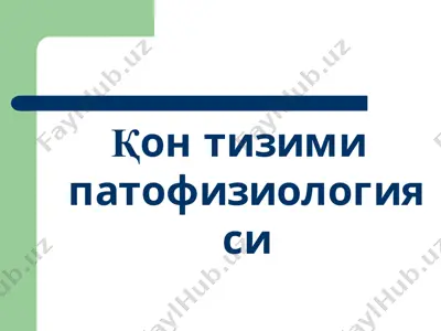 қон тизими патофизиологияси — PPTX