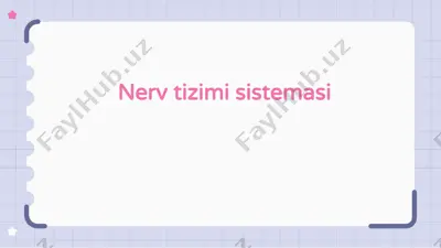 nerv tizimi sistemasi — PPTX