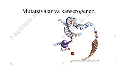 mutatsiyalar va kanserogenez — PPTX