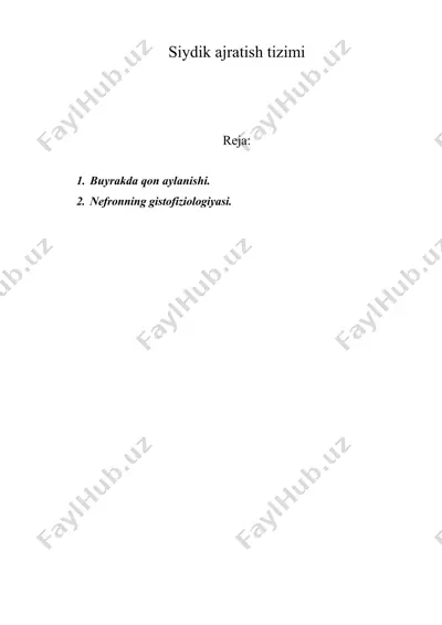 siydik ajratish tizimi — DOC