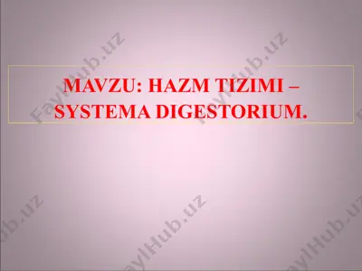 hazm tizimi – systema digestorium — PPTX
