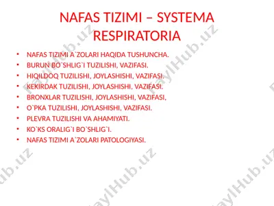 nafas tizimi – systema respiratoria — PPTX