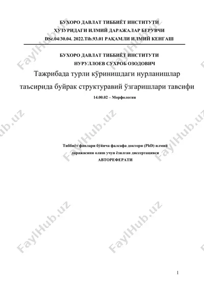 тажрибада турли кўринишдаги нурланишлар таъсирида буйрак структуравий ўзгаришлари тавсифи — DOCX
