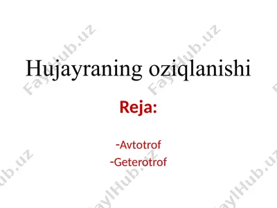 hujayraning oziqlanishi — PPTX