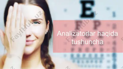 analizatorlar haqida tushuncha — PPTX