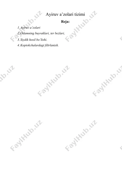 ayiruv a’zolari tizimi — DOCX