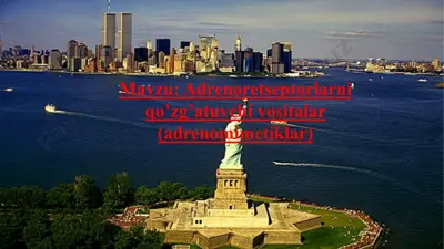 adrenoretseptorlarni qo’zg’atuvchi vositalar (adrenomimetiklar) — PPTX