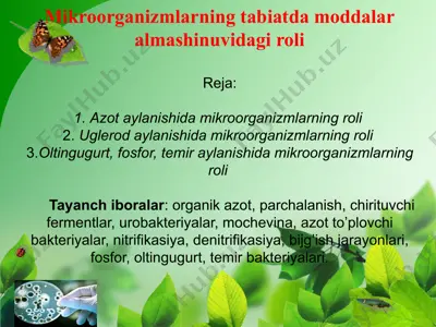 mikroorganizmlarning tabiatda moddalar almashinuvidagi roli — PPTX