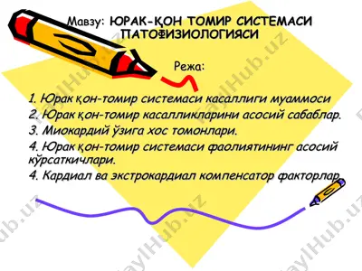 юрак-қон томир системаси патофизиологияси — PPT