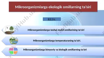 mikroorganizmlarga ekologik omillarning ta’siri — PPTX