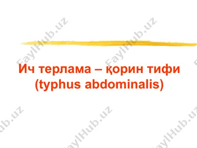 ич терлама – қорин тифи (typhus abdominalis) — PPT