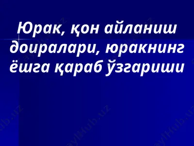 юрак, қон айланиш доиралари, юракнинг ёшга қараб ўзгариши — PPT