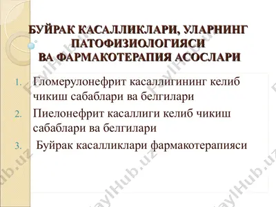 буйрак касалликлари, уларнинг патофизиологияси ва фармакотерапия асослари — PPT