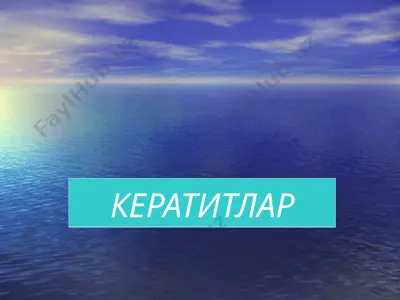 кератитлар — PPT