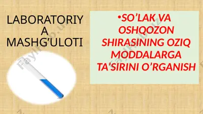 so’lak va oshqozon shirasining oziq moddalarga ta’sirini o’rganish (laboratoriya ishi) — PPTX