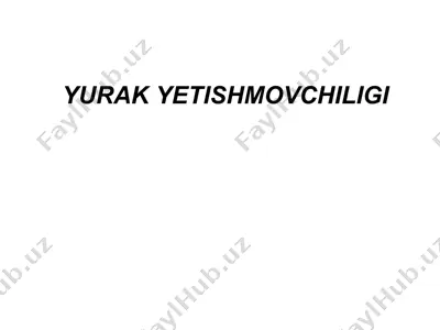 yurak yetishmovchiligi — PPT