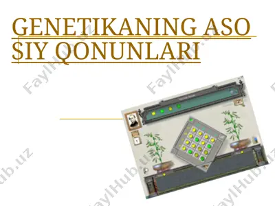 g. mendelning birinchi va ikkinchi qonunlari. gametalarning tozaligi gipotezasi — PPTX