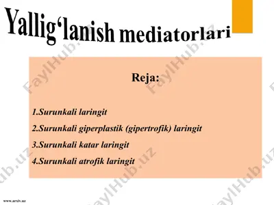 yallig‘lanish mediatorlari — PPT
