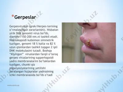 gerpeslar — PPTX