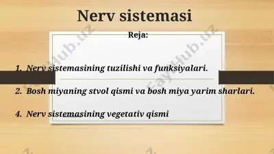 nеrv sistеmаsi — PPT