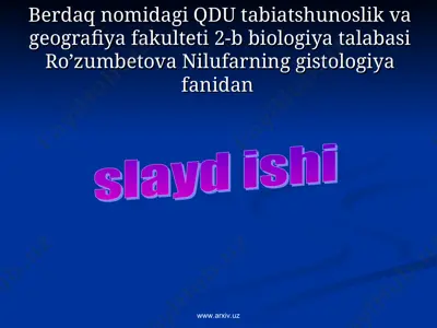 dag’al va plastinkasimon suyaklarning tuzilishi va farqi — PPT