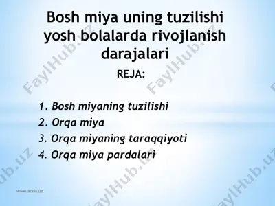 bosh miya uning tuzilishi yosh bolalarda rivojlanish darajalari — PPTX