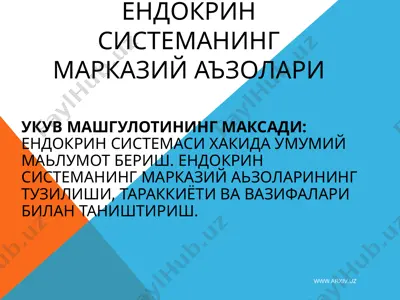 эндокрин системанинг марказий аъзолари — PPT