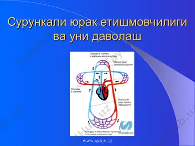 сурункали юрак етишмовчилиги ва уни даволаш — PPT