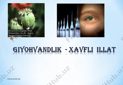 giyohvandlik - xavfli illat — PPT