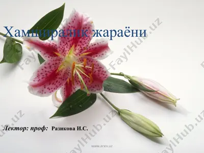 хамширалик жараёни — PPT