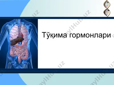 тўқима гормонлари — PPT