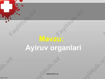ayiruv organlari — PPT